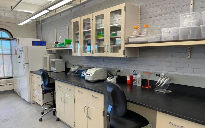 Anthropology Laboratories | Anthropology Laboratories